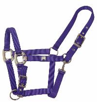 Purple Horse Halter Purple Horse Halter